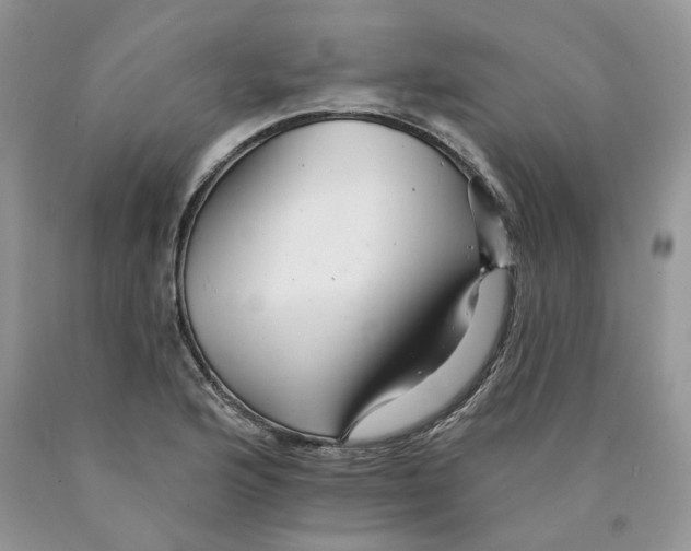 X0000089941176200707271812