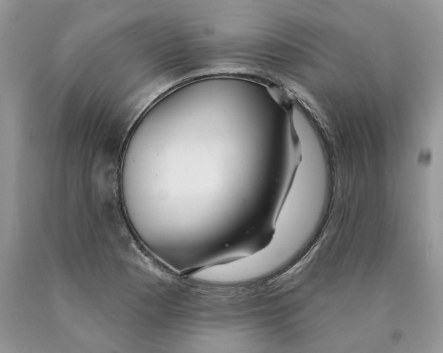 X0000089941177200707271812
