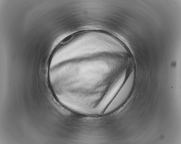 X0000089941179200707271812