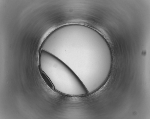 X0000089941180200707271812