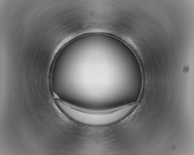 X0000089941181200707271812