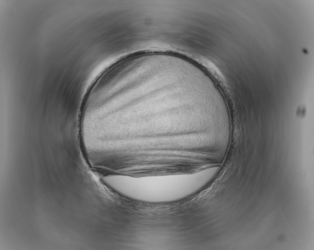 X0000089941183200707271812