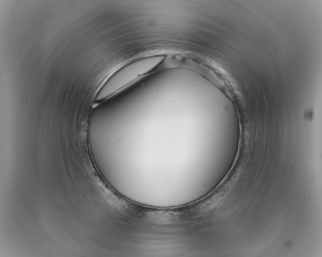 X0000089941185200707271812