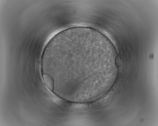 X0000089941187200707271812