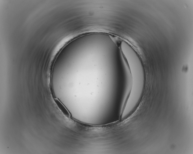 X0000089941188200707271812