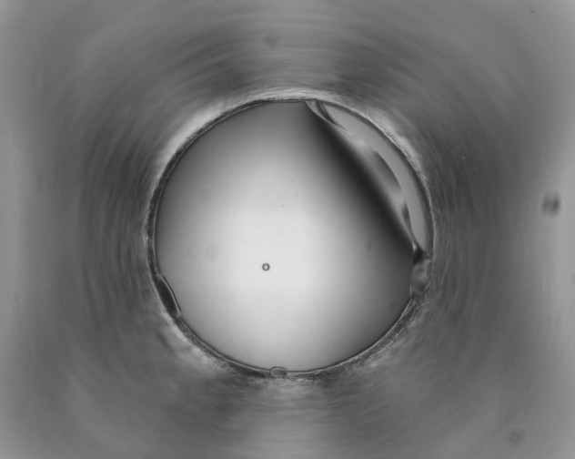 X0000089941189200707271812
