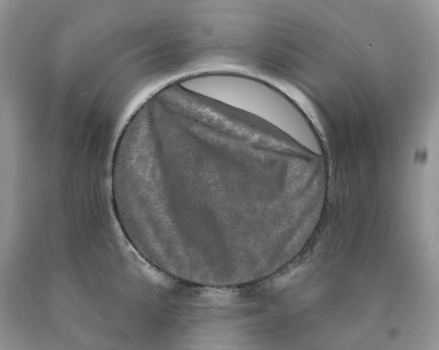 X0000089941191200707271812