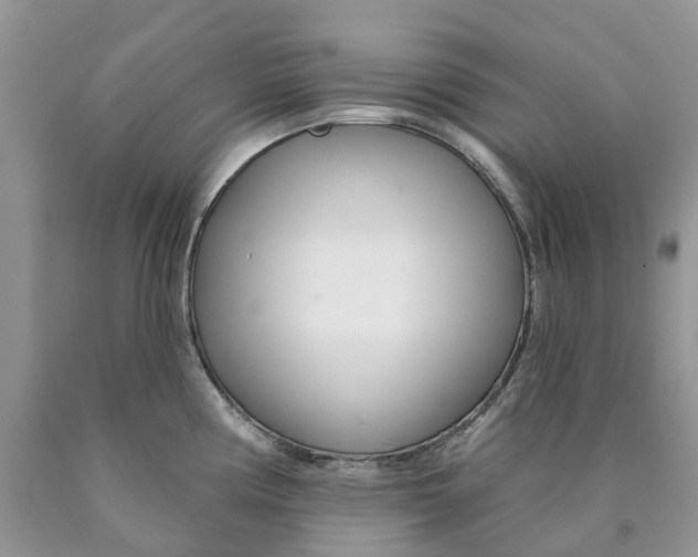 X0000089941194200707271812