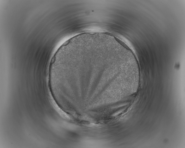 X0000089941195200707271812