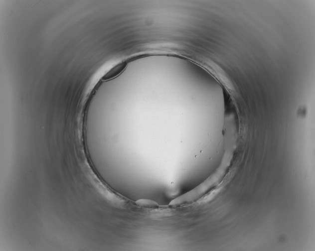 X0000089941196200707271812