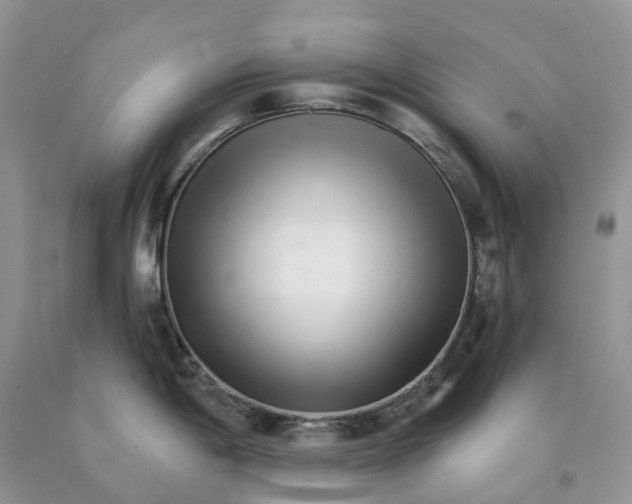 X0000089941198200707271812