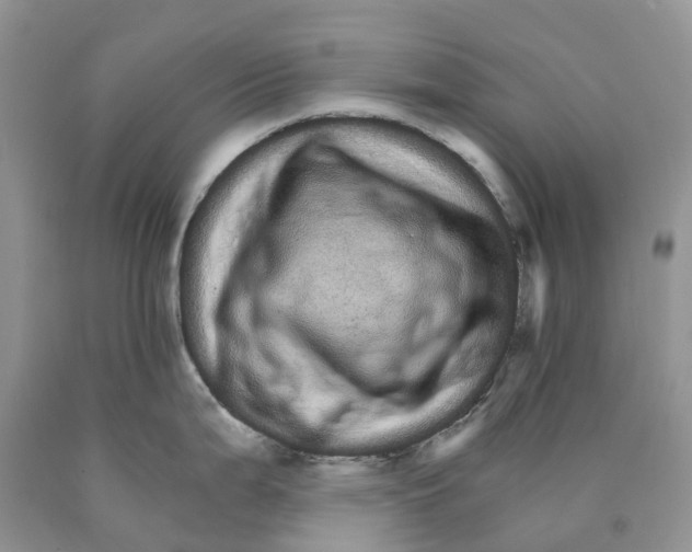 X0000089941199200707271812
