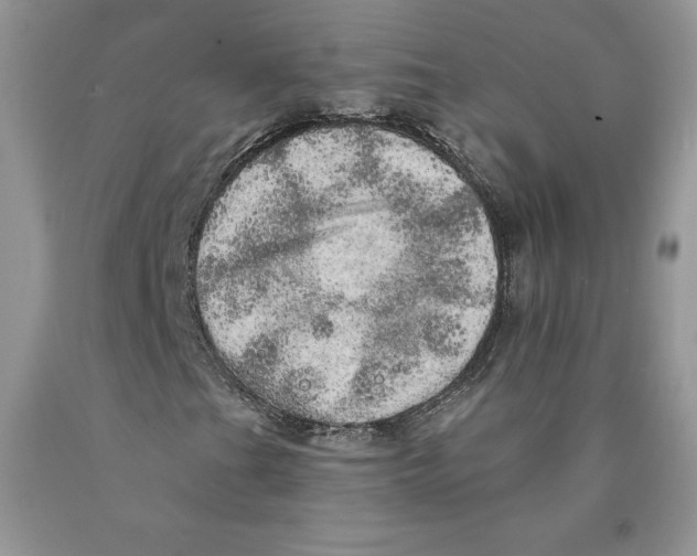 X0000089941201200707271811