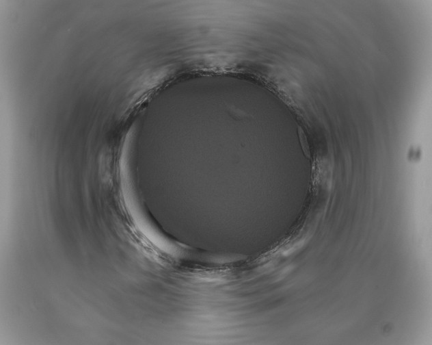 X0000089941202200707271811