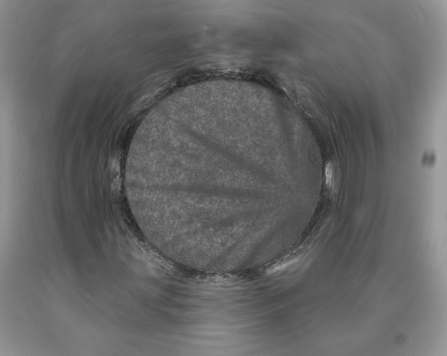 X0000089941203200707271811
