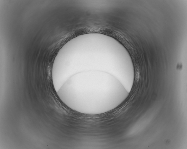X0000089941204200707271811