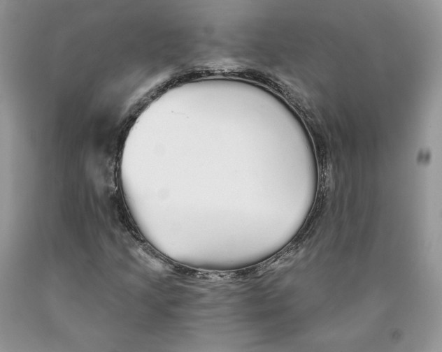 X0000089941205200707271811