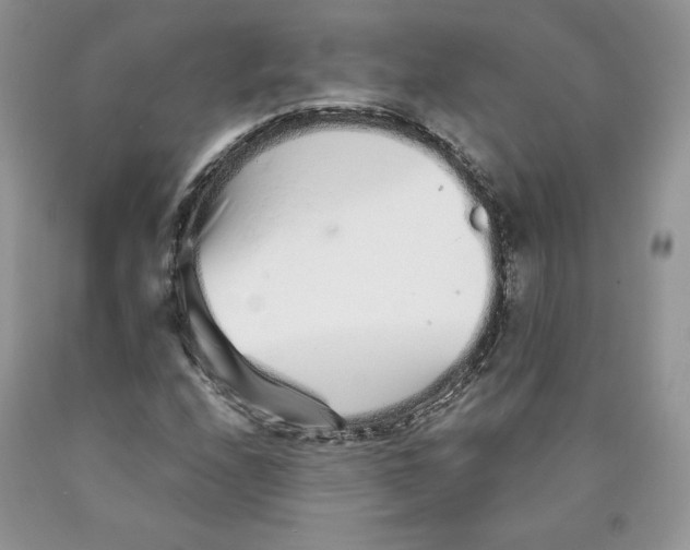 X0000089941208200707271811