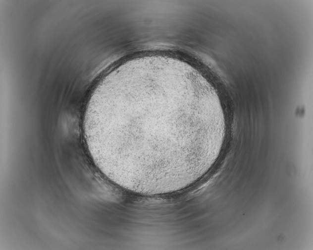 X0000089941209200707271811