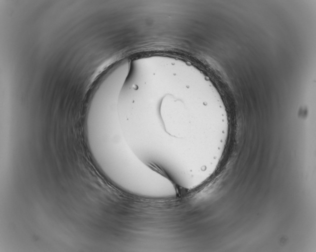 X0000089941210200707271811