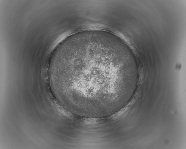X0000089941211200707271811