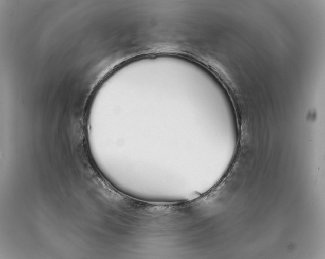 X0000089941212200707271811
