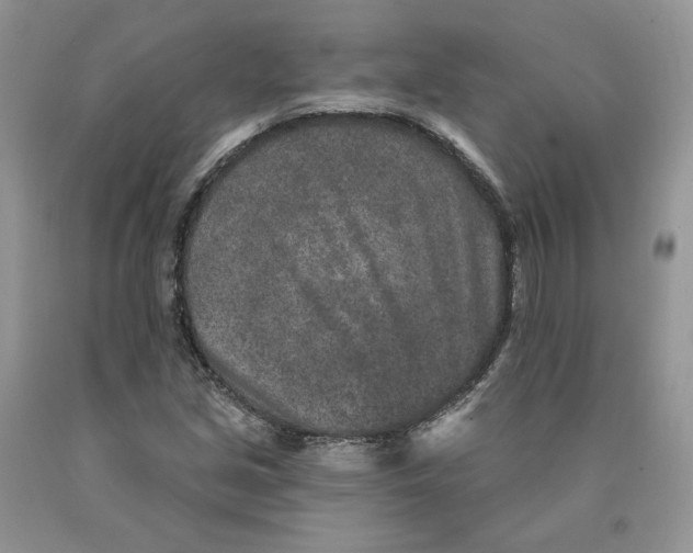 X0000089941213200707271811