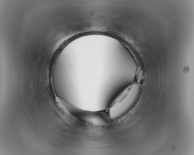 X0000089941214200707271811