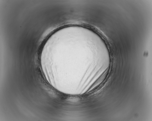 X0000089941215200707271811