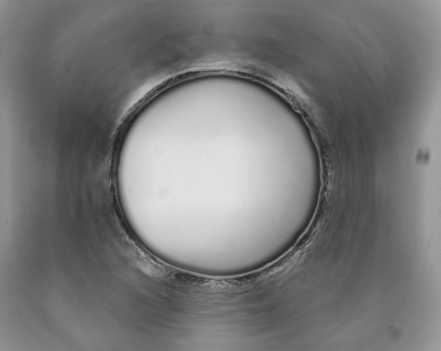 X0000089941216200707271811