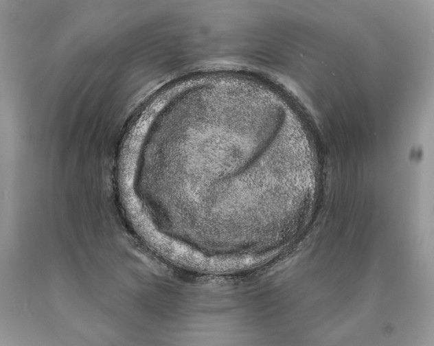 X0000089941217200707271811