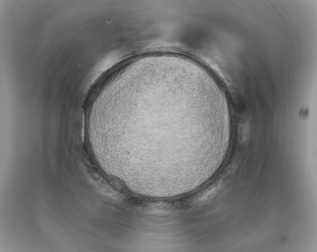 X0000089941219200707271811