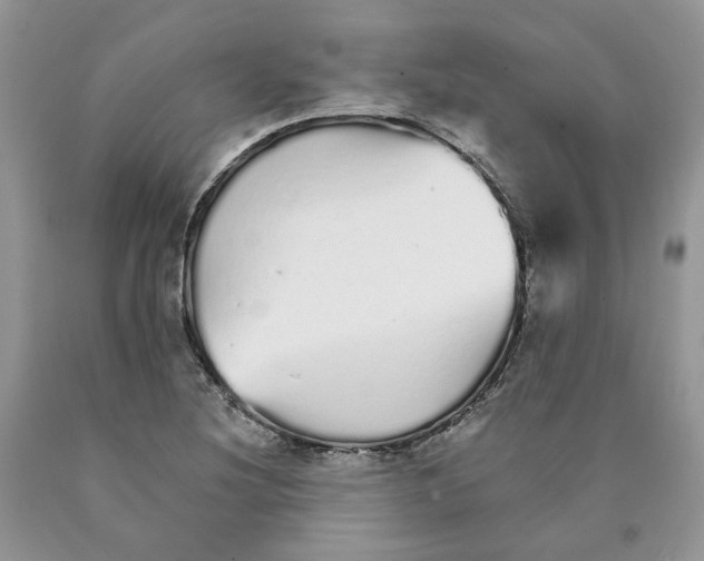 X0000089941220200707271811