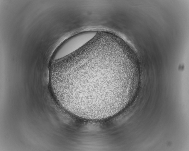 X0000089941221200707271811