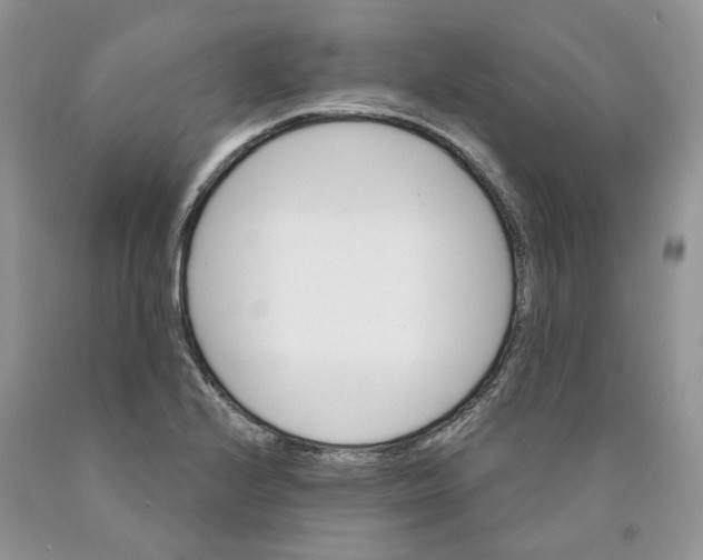 X0000089941224200707271811