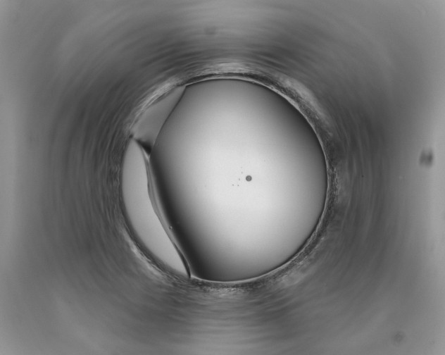 X0000089941225200707271811