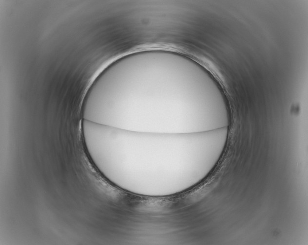 X0000089941228200707271811