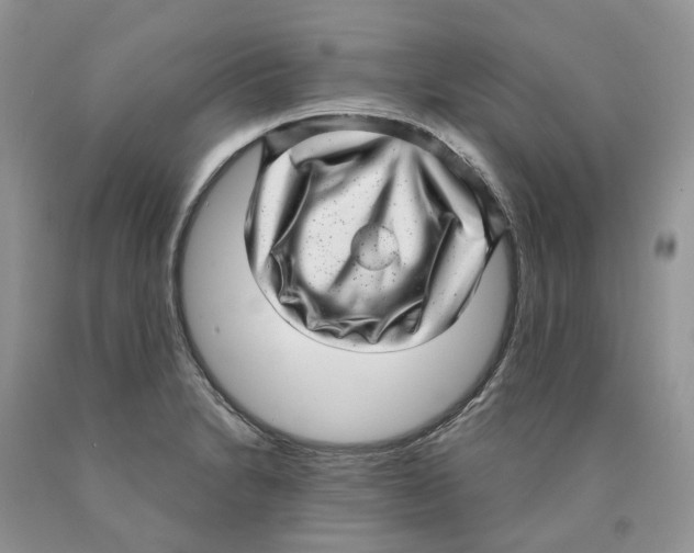 X0000089941230200707271811
