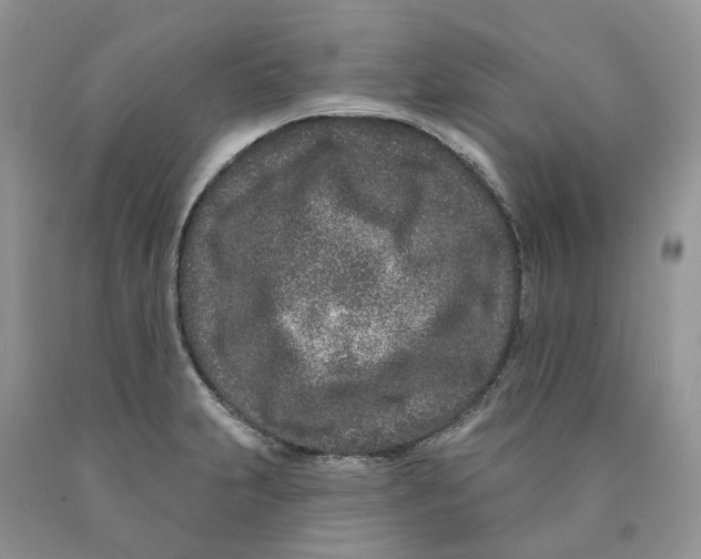 X0000089941231200707271812