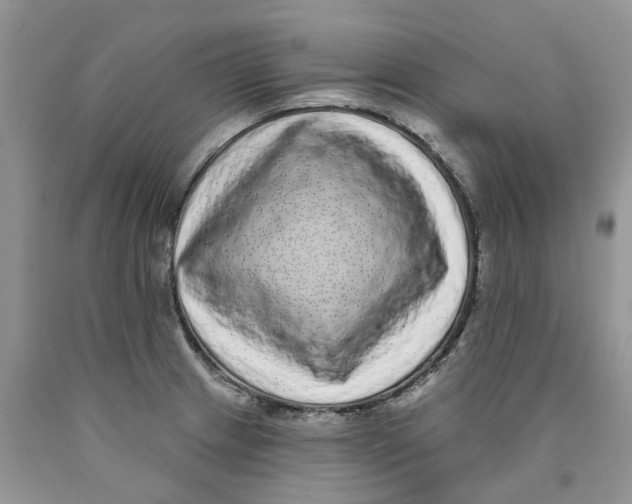 X0000089941233200707271812