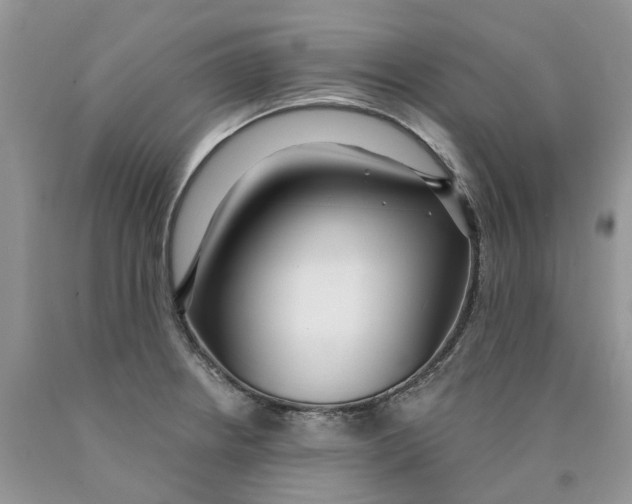 X0000089941234200707271812
