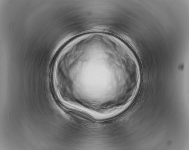 X0000089941235200707271812