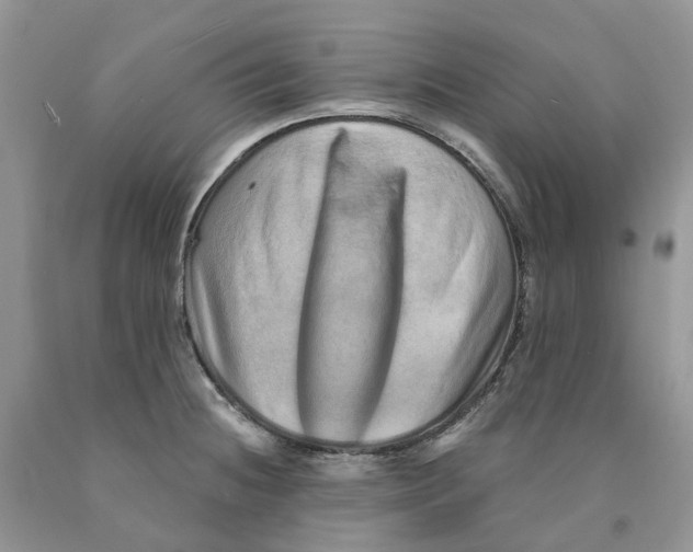 X0000089941236200707271812