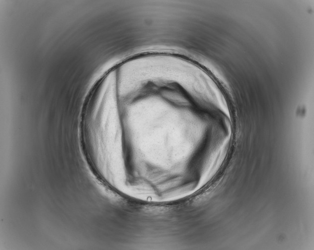 X0000089941237200707271812