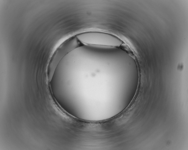 X0000089941238200707271812
