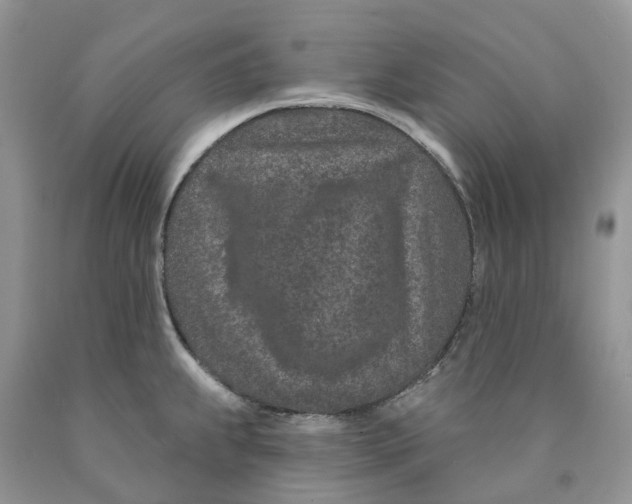 X0000089941239200707271812