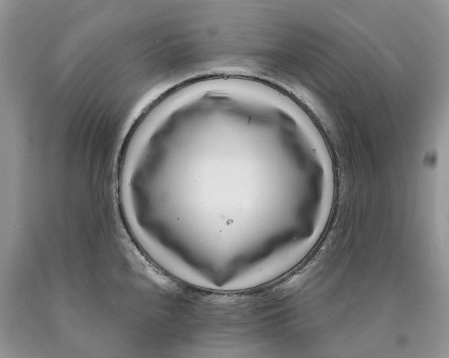 X0000089941240200707271812