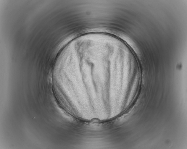 X0000089941241200707271812