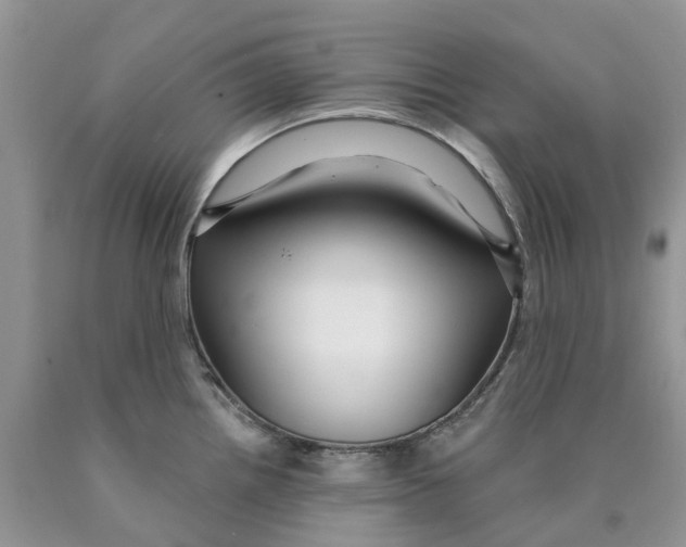 X0000089941242200707271812