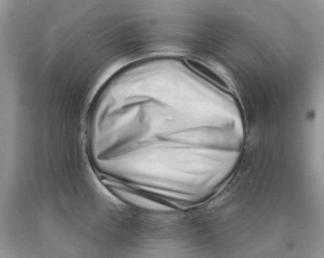 X0000089941243200707271812